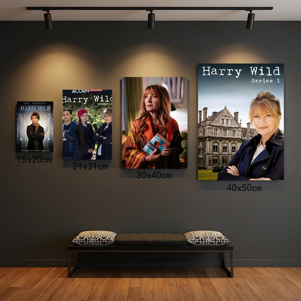 tv series H-Harry Wild-D Paint - Interior Design Tv Room recension och pris