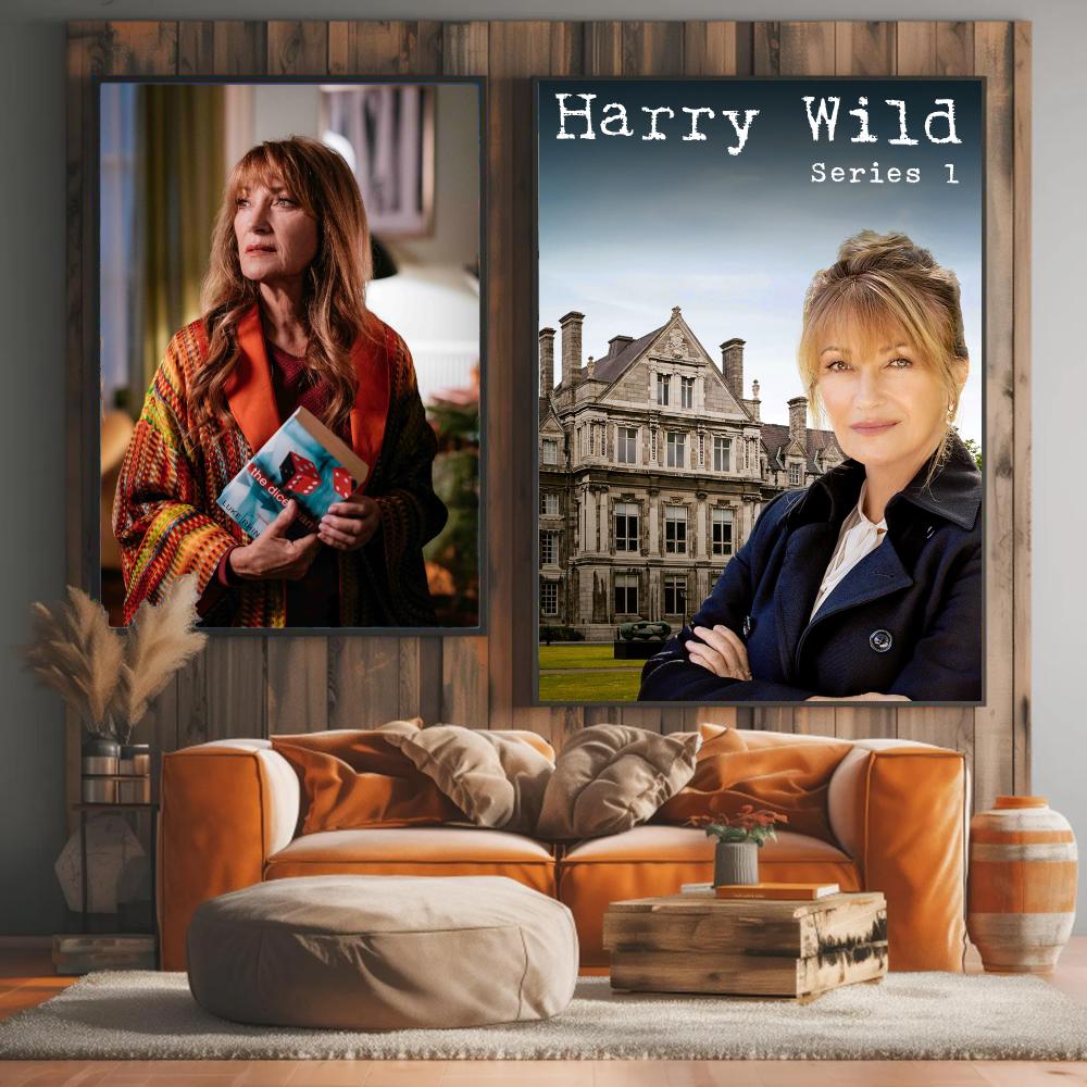 tv series H-Harry Wild-D Paint - Interior Design Tv Room recension och pris