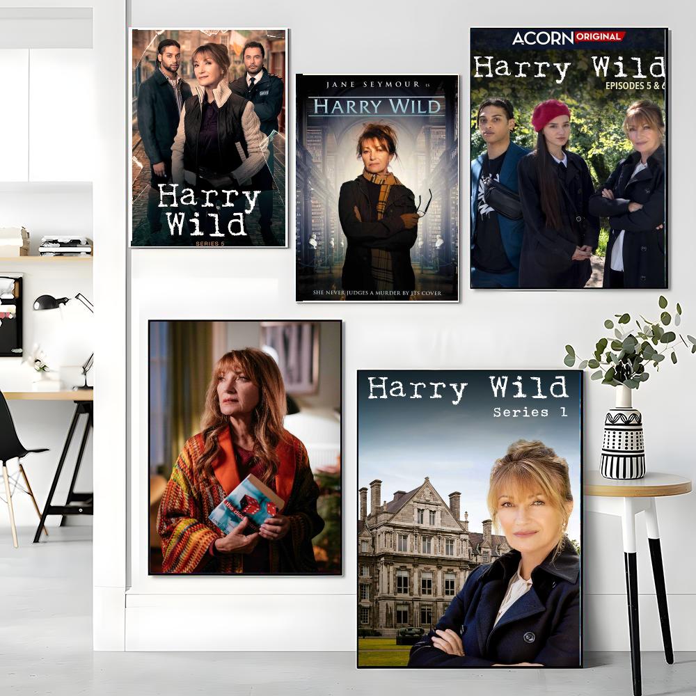 tv series H-Harry Wild-D Paint - Interior Design Tv Room recension och pris