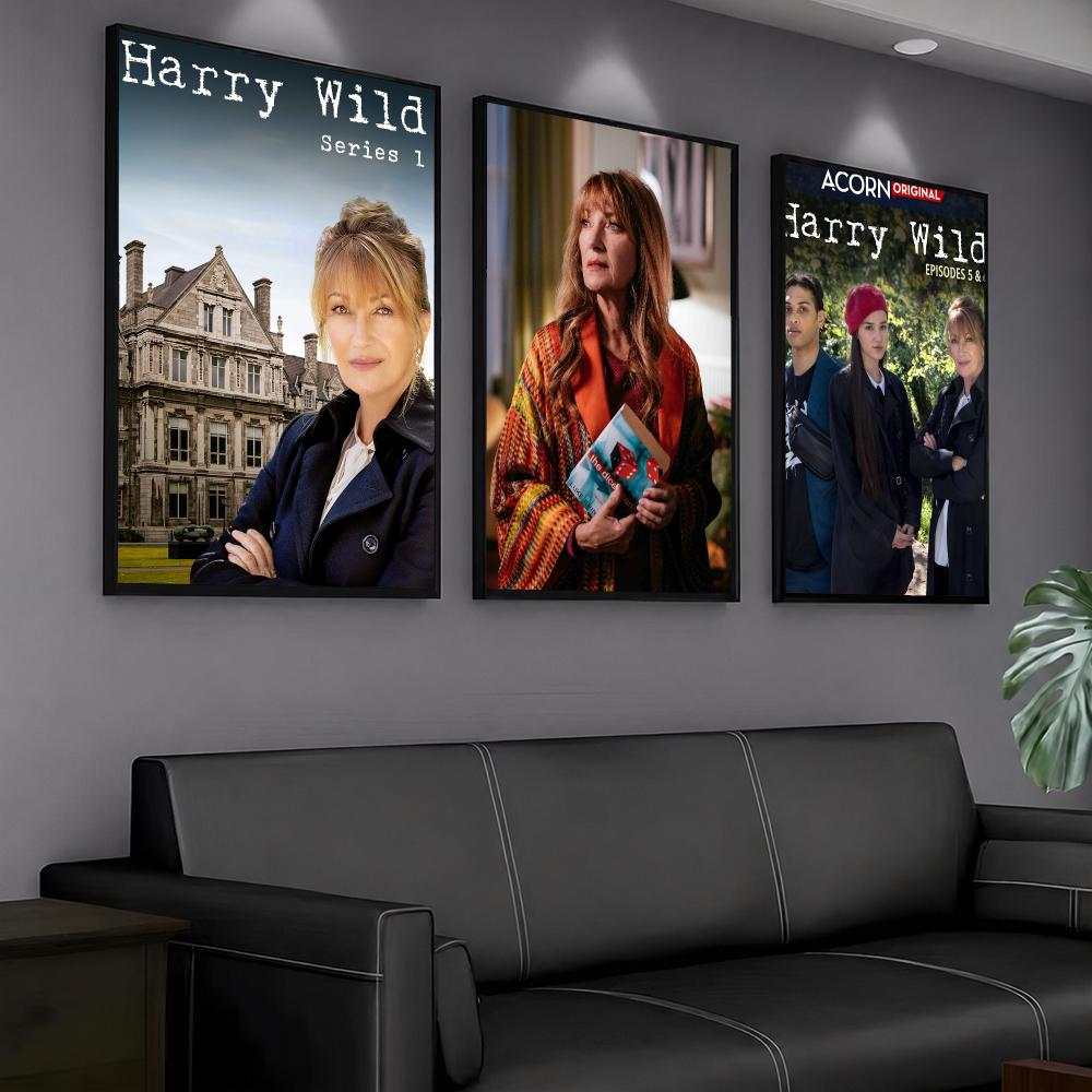 tv series H-Harry Wild-D Paint - Interior Design Tv Room recension och pris