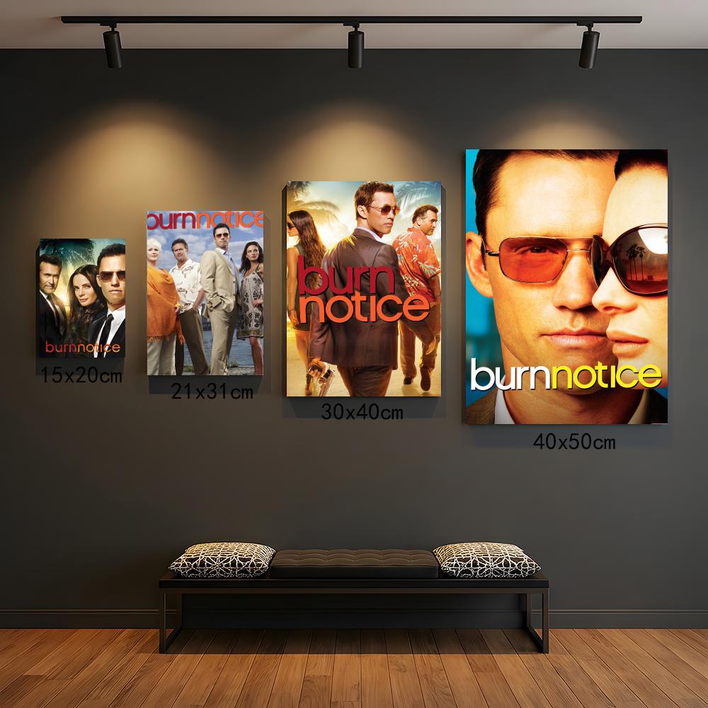 tv series B-Burn Notice-E Pain - Interior Design Tv Room recension och pris