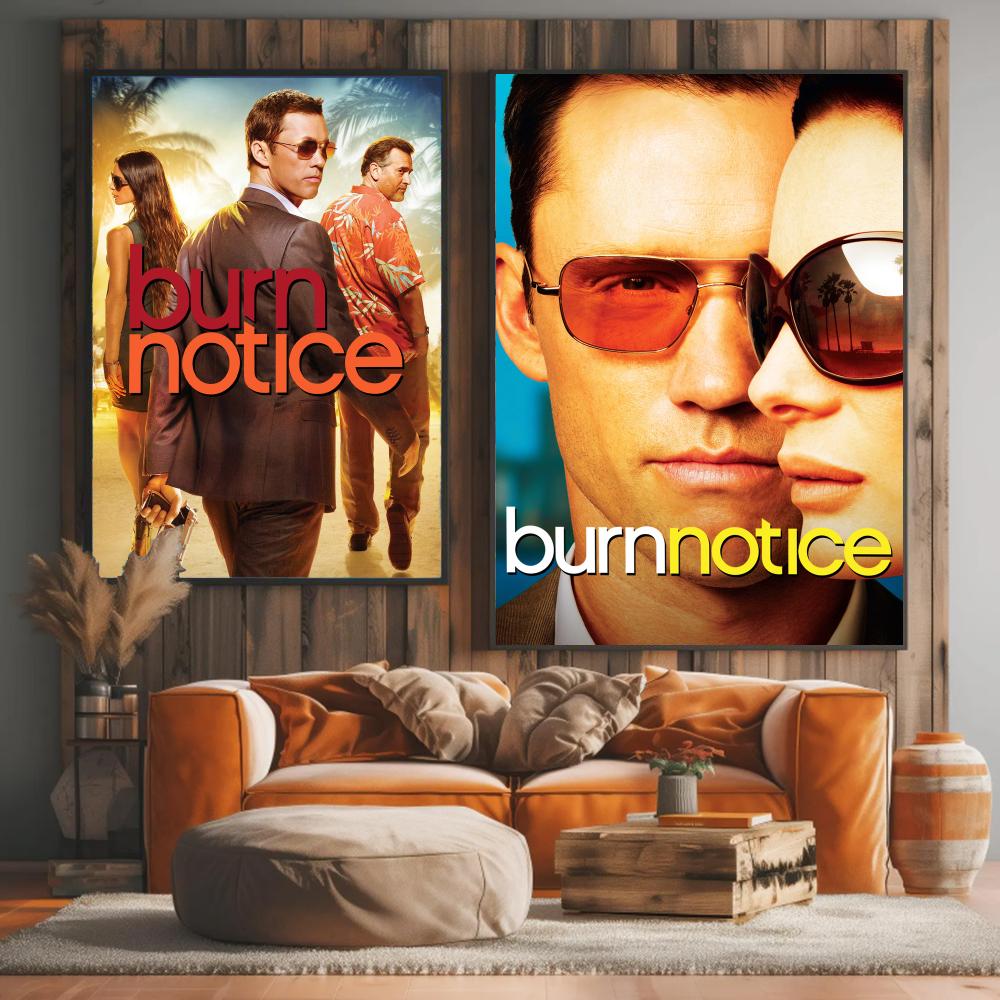 tv series B-Burn Notice-E Pain - Interior Design Tv Room recension och pris