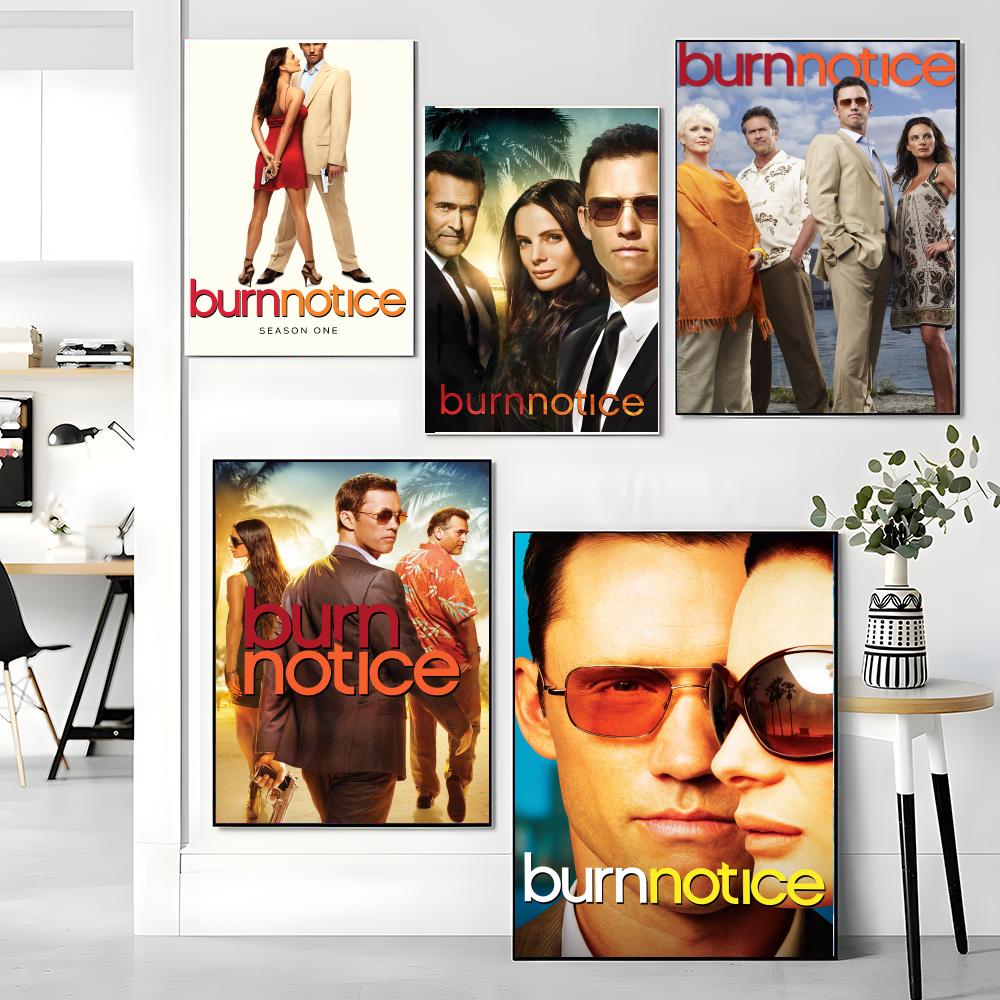 tv series B-Burn Notice-E Pain - Interior Design Tv Room recension och pris