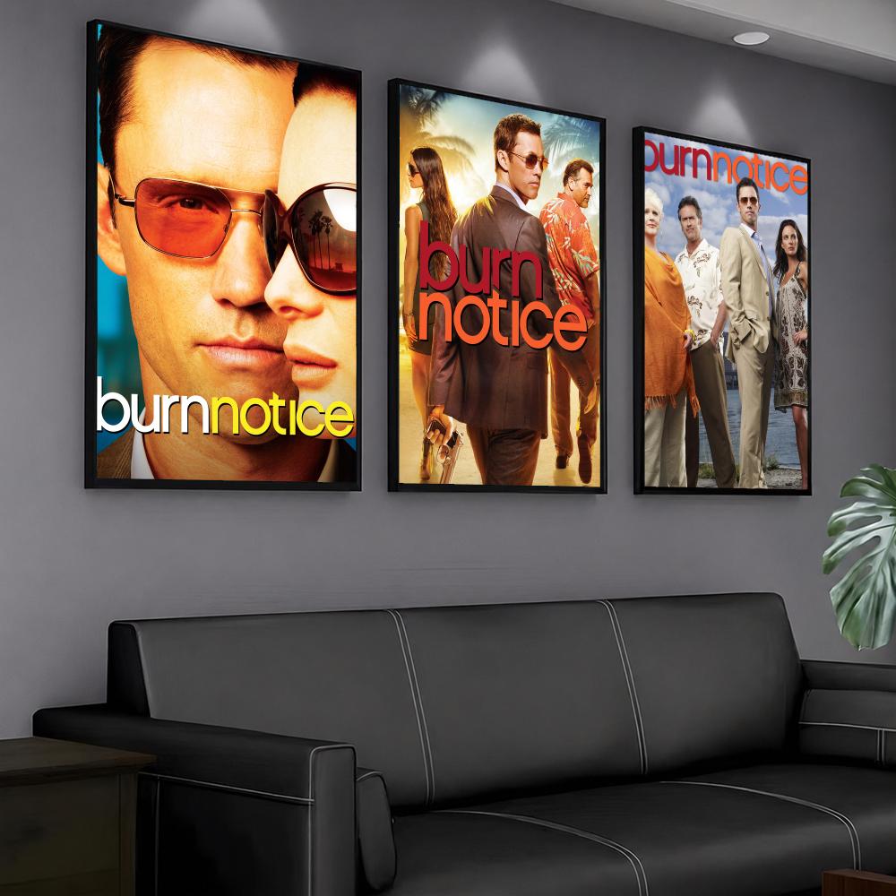 tv series B-Burn Notice-E Pain - Interior Design Tv Room recension och pris